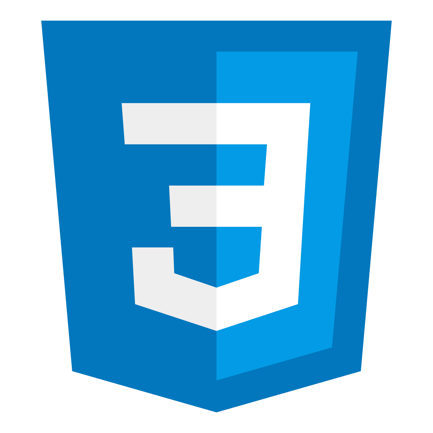 css icon